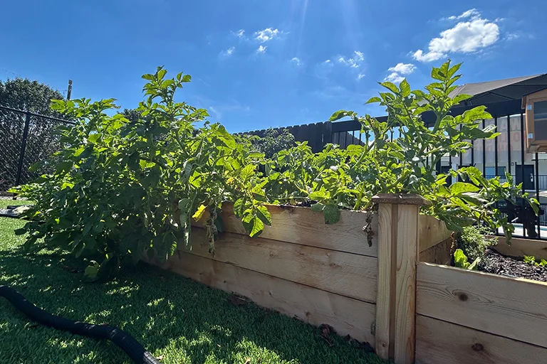 garden amenity hightlight